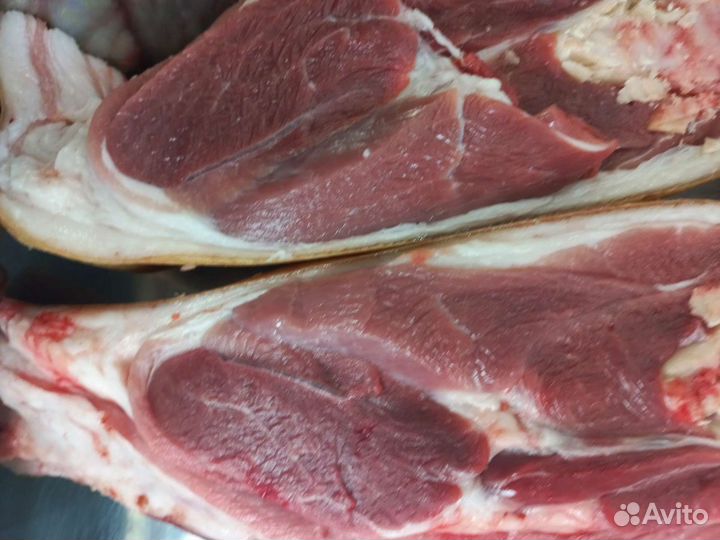 Мясо домашняя свинина