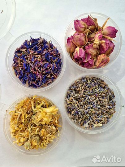 Травы сухоцветы и цветы для чая и декора