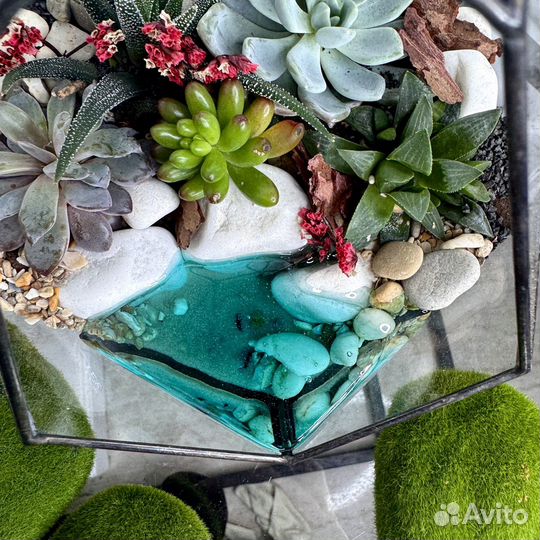 Флорариум с суккулентами и озером, для любимых