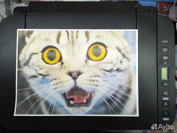 Ремонт струйных принтеров