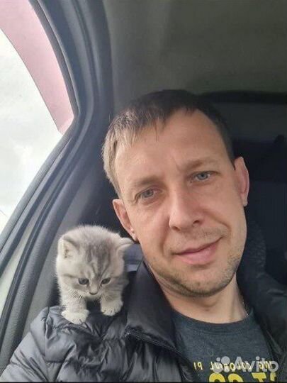 Ремонт холодильников в Москве,частный мастер