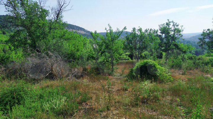 Участок 6 сот. (ИЖС)