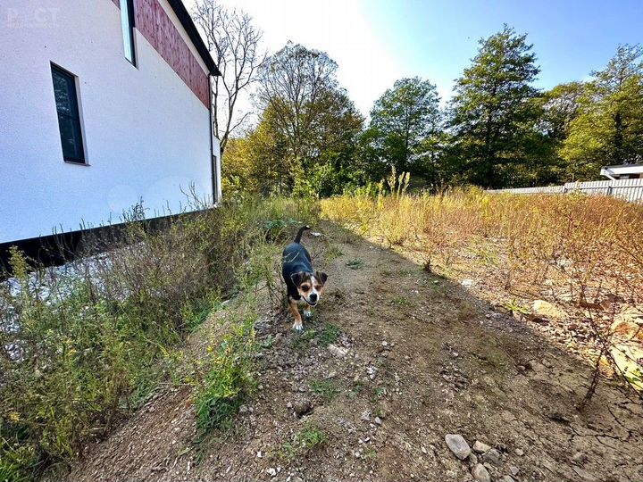 Участок 4 сот. (СНТ, ДНП)