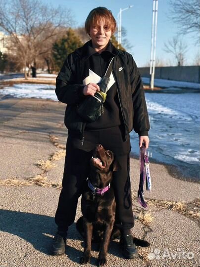 Услуги кинолога