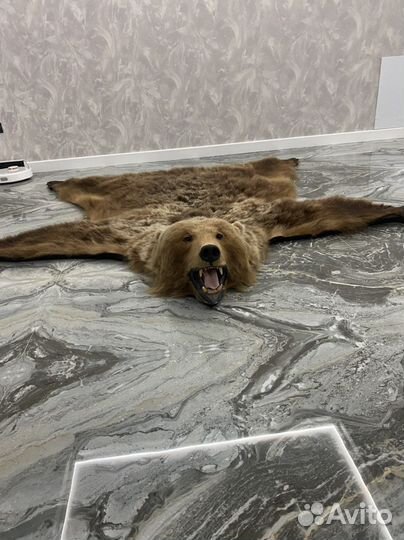 Шкура, чучело медведя. Имитация