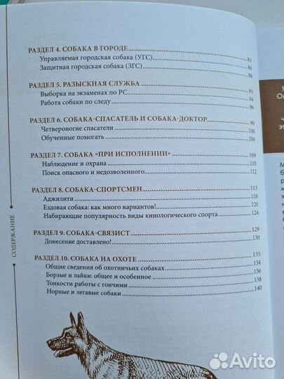 Всё о дрессировке собак