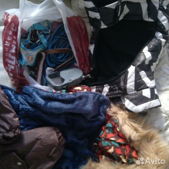 Одежда ошейники поводки для мелких собак