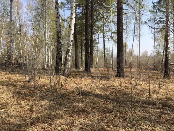 Участок 15 сот. (ИЖС)