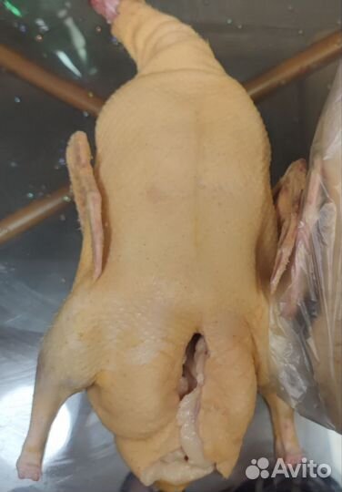 Мясо уток домашних