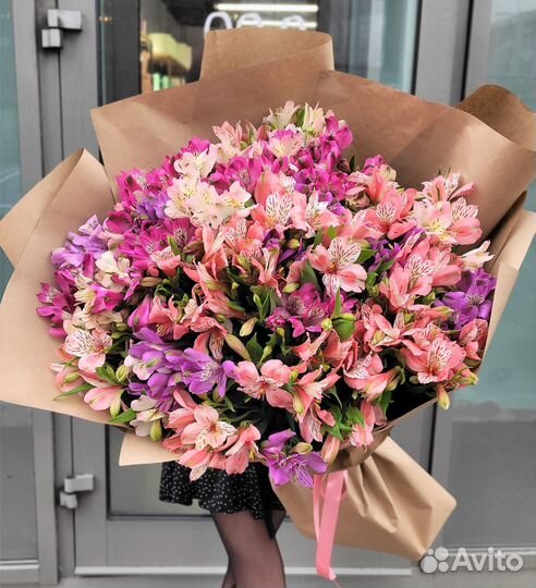 Свежие Альстромерии. Доставка/Самовывоз