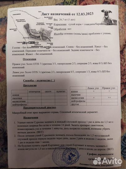 Бывшедомашний пёс Гром грустит в приюте