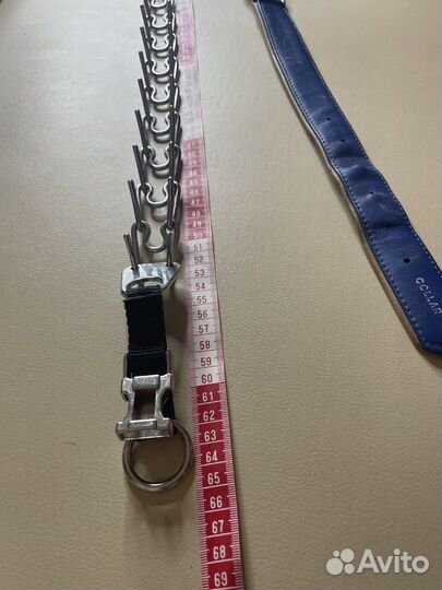 Строгий ошейник для собак