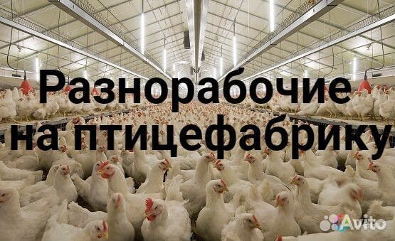 Подсобный рабочий