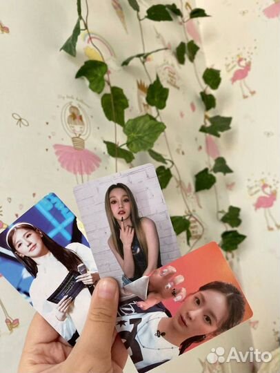 K-pop карты не офф