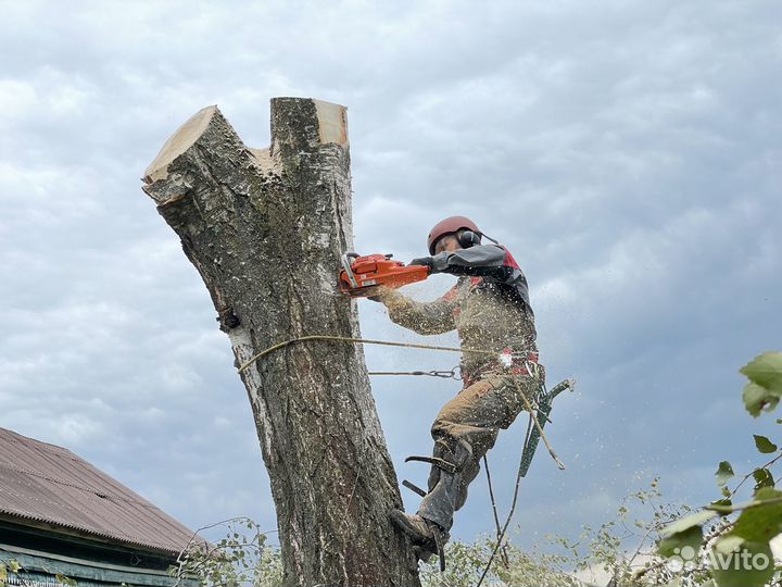 Спил, удаление деревьев, расчистка Сергиев Посад