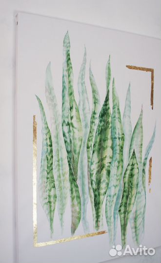 Сансевиерия. Акварельная интерьерная картина