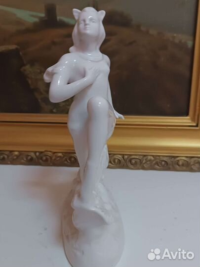 Балерина кошка, вербилки