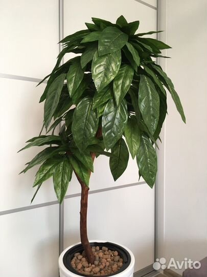 Искусственные растения манго папоротник фикус
