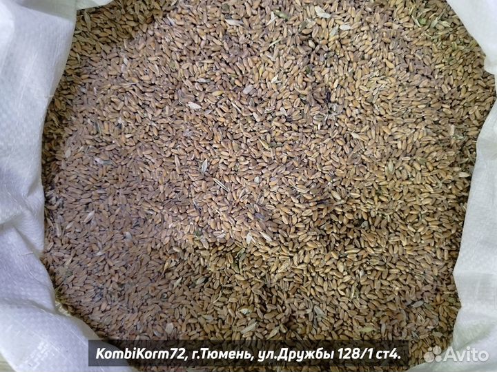 Пшеница, Овес, Ячмень, Дробленка, Комбикорма, Сено