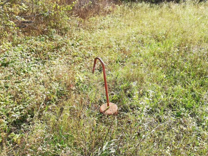 Участок 8 сот. (СНТ, ДНП)