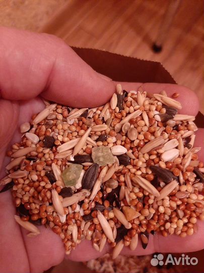 Корм для попугаев