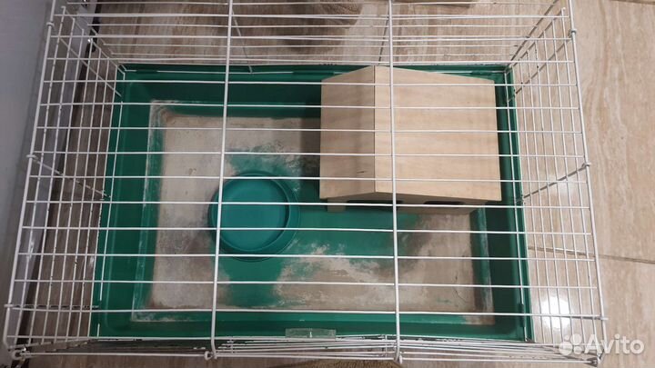 Клетка для грызунов большая