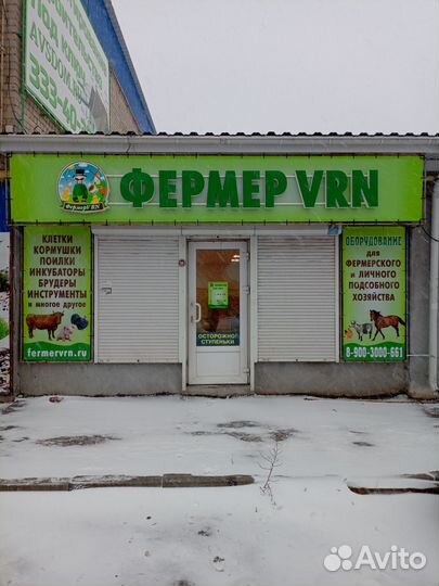 Бункерная кормушка для птицы