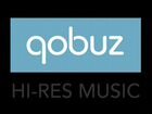 3 месяца Qobuz США непрерывно объявление продам