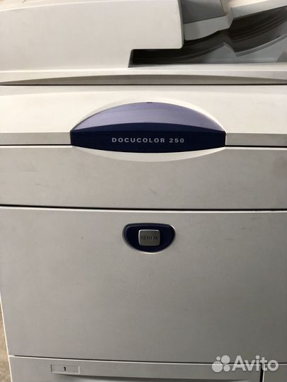 Принтер xerox docucolor 250 с Rip (рип) 250
