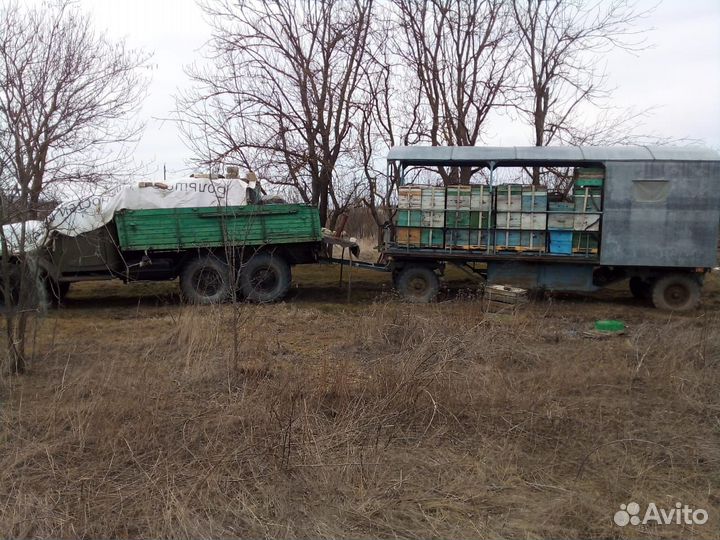 Продается пасека