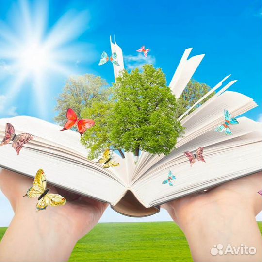 Репетитор начальных классов