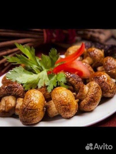 Шашлычник на выезд