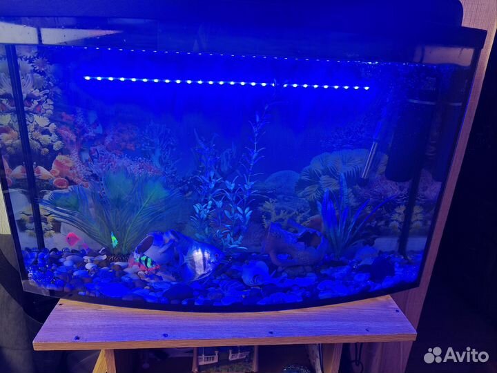 Аквариум с рыбками, инвентарём и тумбой