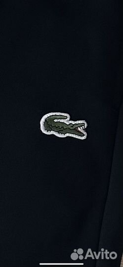 Спортивные штаны lacoste