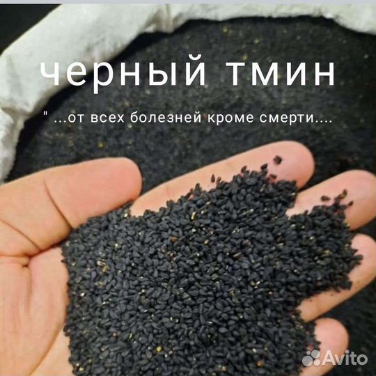 Масло черного тмина эфиоп и индия сыродавленнное