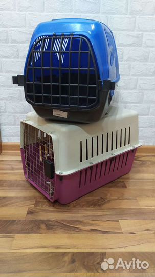 Переноска прокат