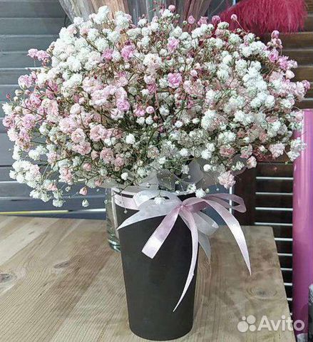 Гипсофила в стаканчике или коробке