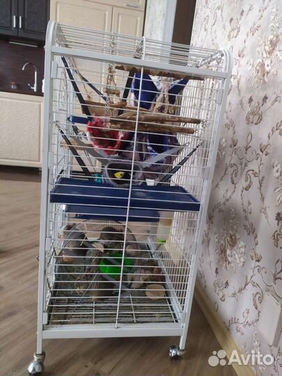 Клетка для грызунов большая