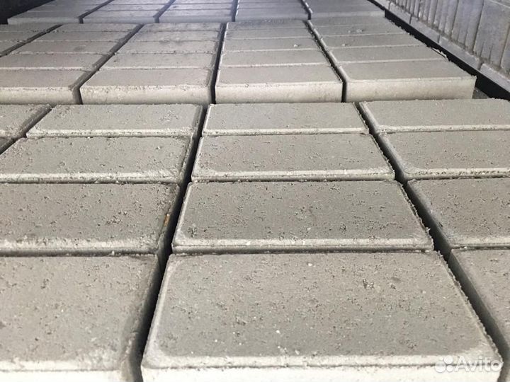 Плитка тротуарная 100х200х60