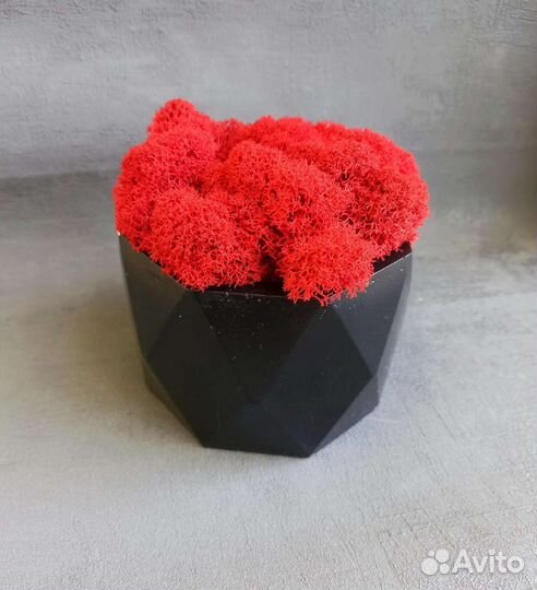 Кашпо из гипса и бетона