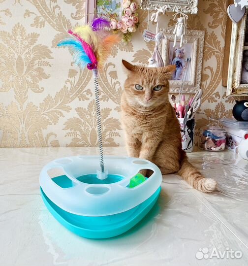 Игрушка для кошек развивающая+мышка