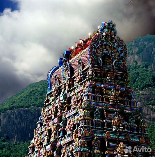 Путешествие на Сейшелы 7 дней