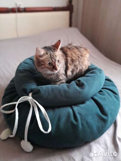 Подушка для кошек
