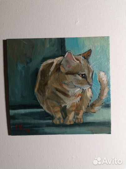 Картина маслом этюд с рыжим котом