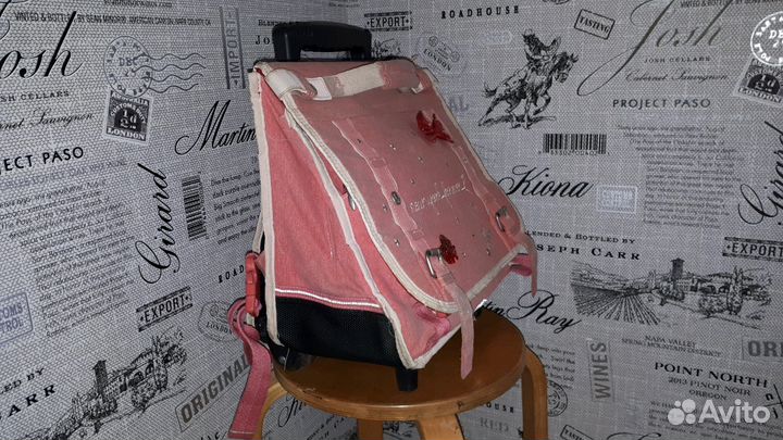 Ранец школьный с колесами и выдвижной ручкой