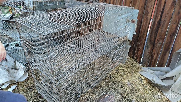 Клетка для кроликов, птиц