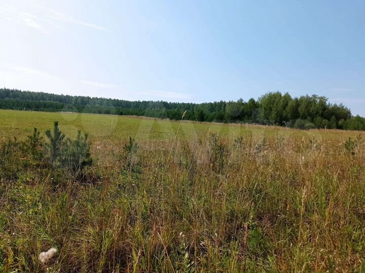 Участок 10 га (СНТ, ДНП)