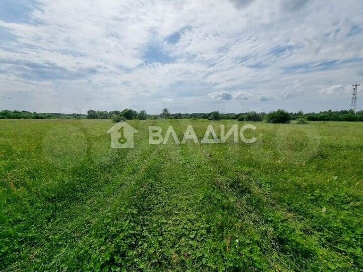 Участок 4,4 га (СНТ, ДНП)