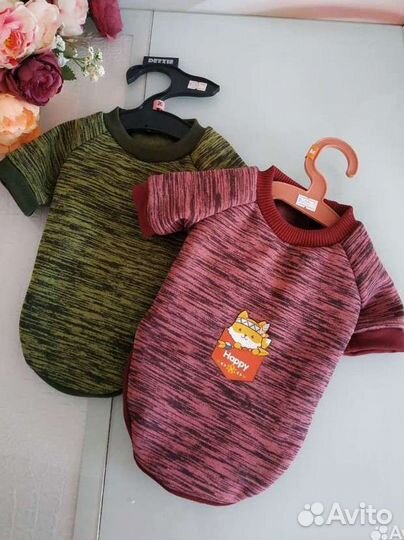 Кофта для собак, пакеты для прогулок