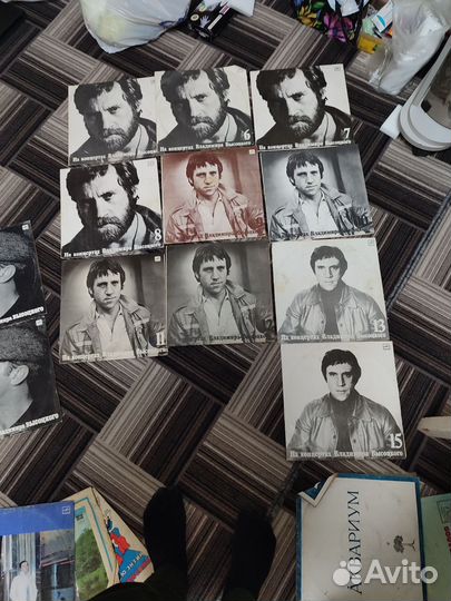 На концерте у Высотского